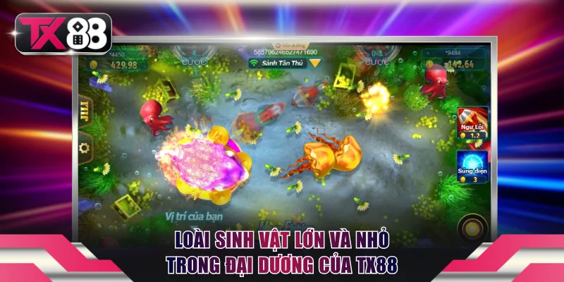 Loài sinh vật lớn và nhỏ trong đại dương của TX88