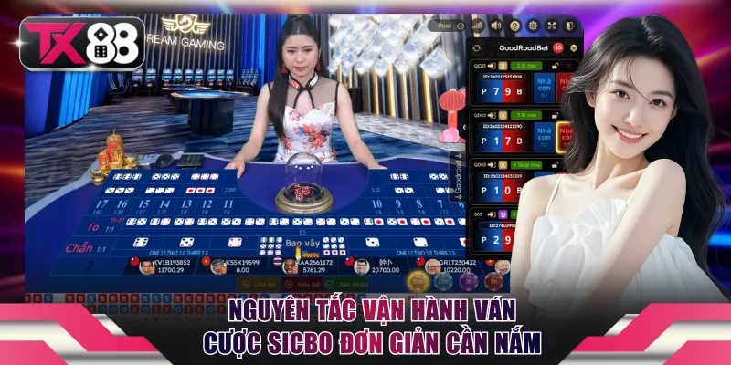 Nguyên tắc vận hành ván cược Sicbo đơn giản cần nắm